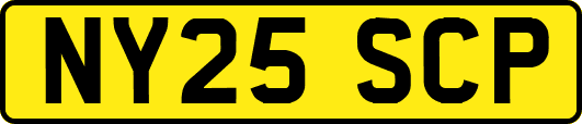 NY25SCP