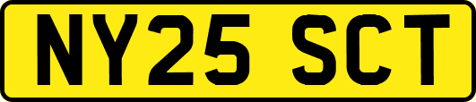 NY25SCT