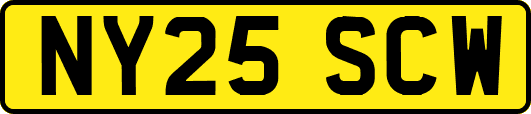 NY25SCW