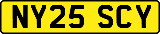 NY25SCY