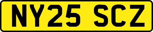 NY25SCZ