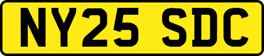 NY25SDC