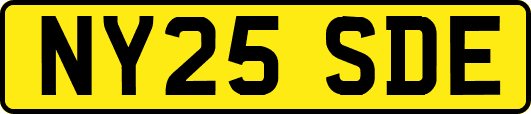 NY25SDE