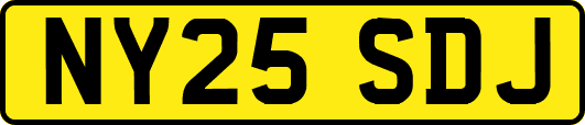 NY25SDJ