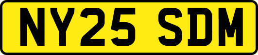 NY25SDM
