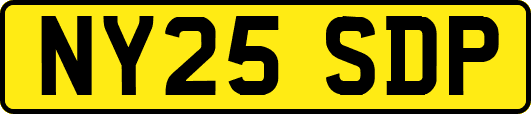 NY25SDP