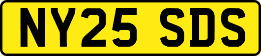 NY25SDS