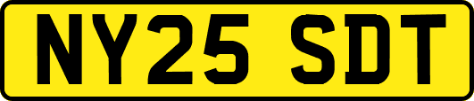 NY25SDT