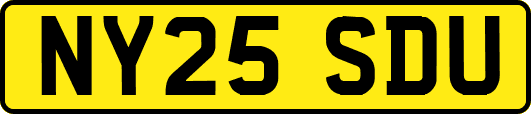 NY25SDU