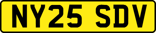 NY25SDV