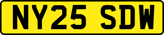 NY25SDW