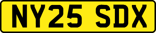 NY25SDX