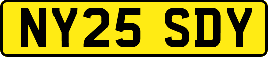 NY25SDY