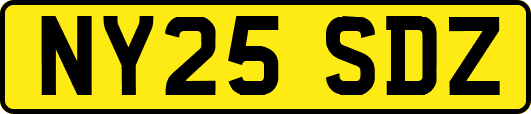 NY25SDZ