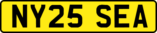 NY25SEA