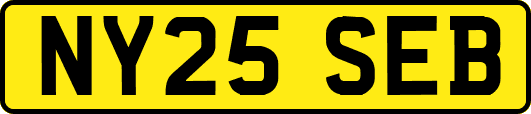 NY25SEB