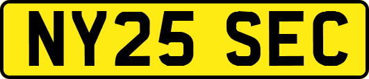 NY25SEC