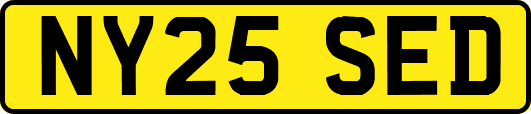 NY25SED