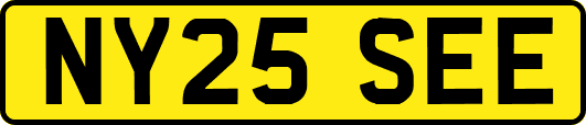 NY25SEE