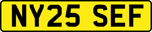 NY25SEF