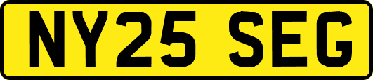 NY25SEG