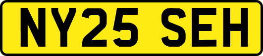 NY25SEH