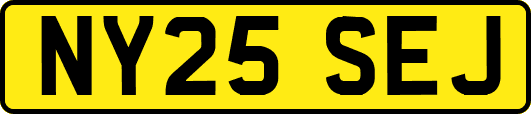 NY25SEJ