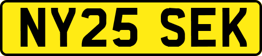 NY25SEK