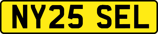 NY25SEL
