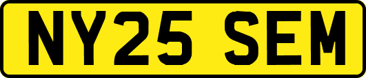 NY25SEM
