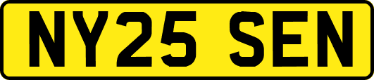 NY25SEN