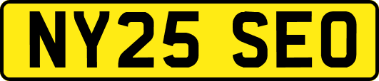 NY25SEO