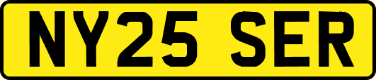 NY25SER