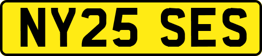 NY25SES