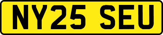 NY25SEU