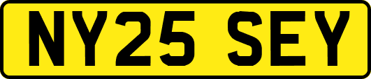 NY25SEY
