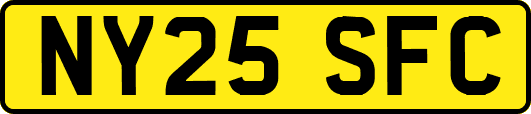 NY25SFC