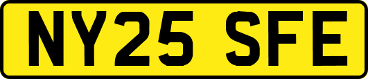 NY25SFE