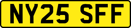 NY25SFF