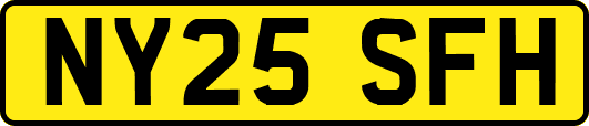 NY25SFH