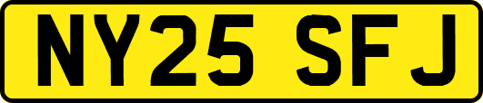 NY25SFJ