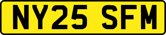 NY25SFM