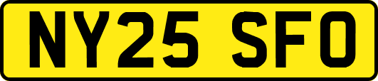NY25SFO