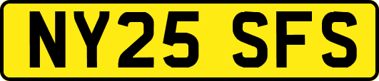 NY25SFS