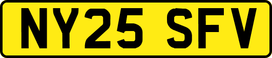 NY25SFV