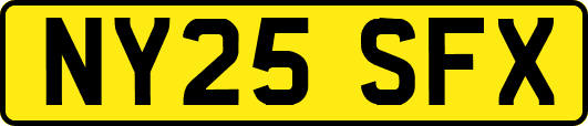 NY25SFX