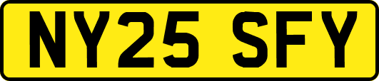 NY25SFY