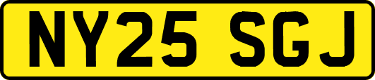 NY25SGJ