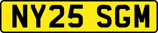 NY25SGM