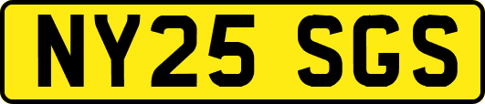 NY25SGS